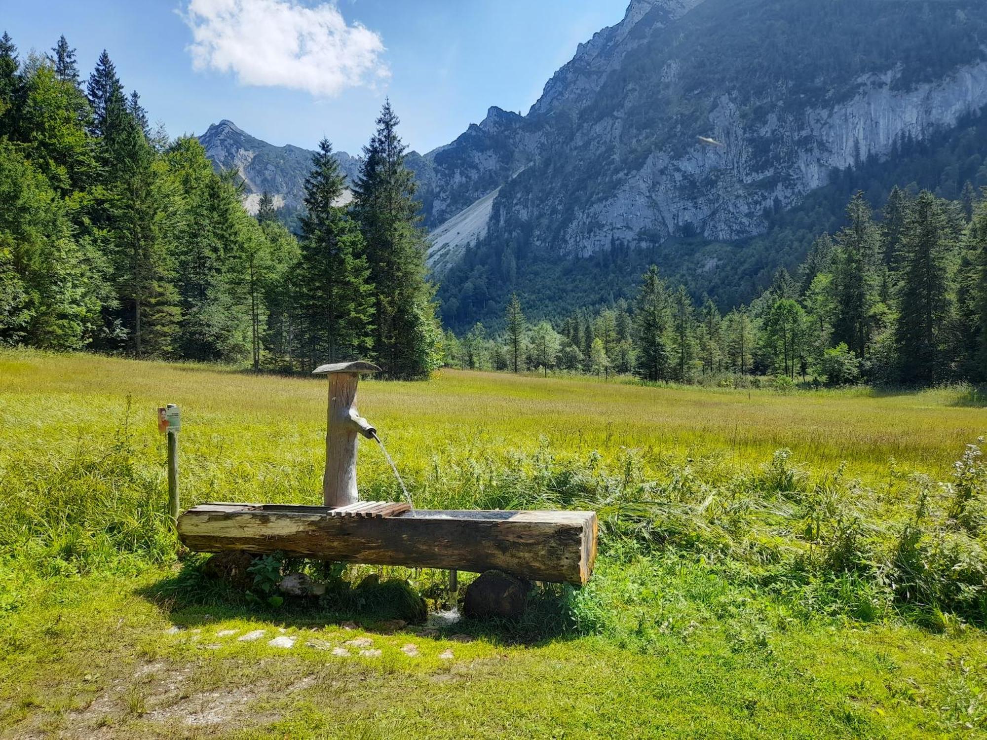 Im Naturgarten Teisendorf Exteriör bild